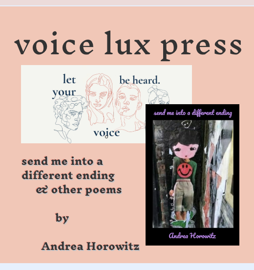 New book out from <a href="/voiceluxpress/">voice lux press</a> 🎉

send me into a different ending &amp; other poems by Andrea Horowitz