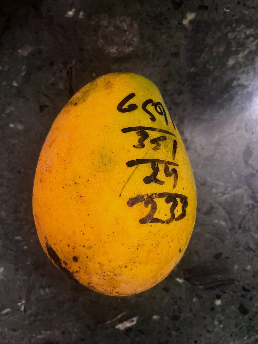 Unique Identification Number 🤷🏻‍♀️😎

#mango #aam #numbered #TuesdayFeeling