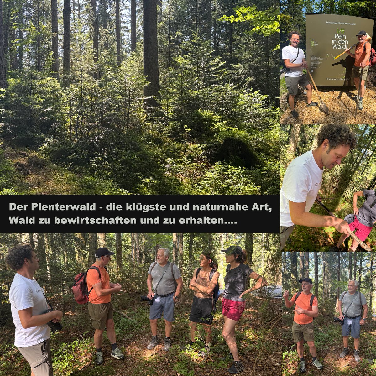 Conrad Amber tweet media