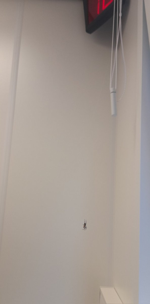 O da tedavi olmaya gelmiş