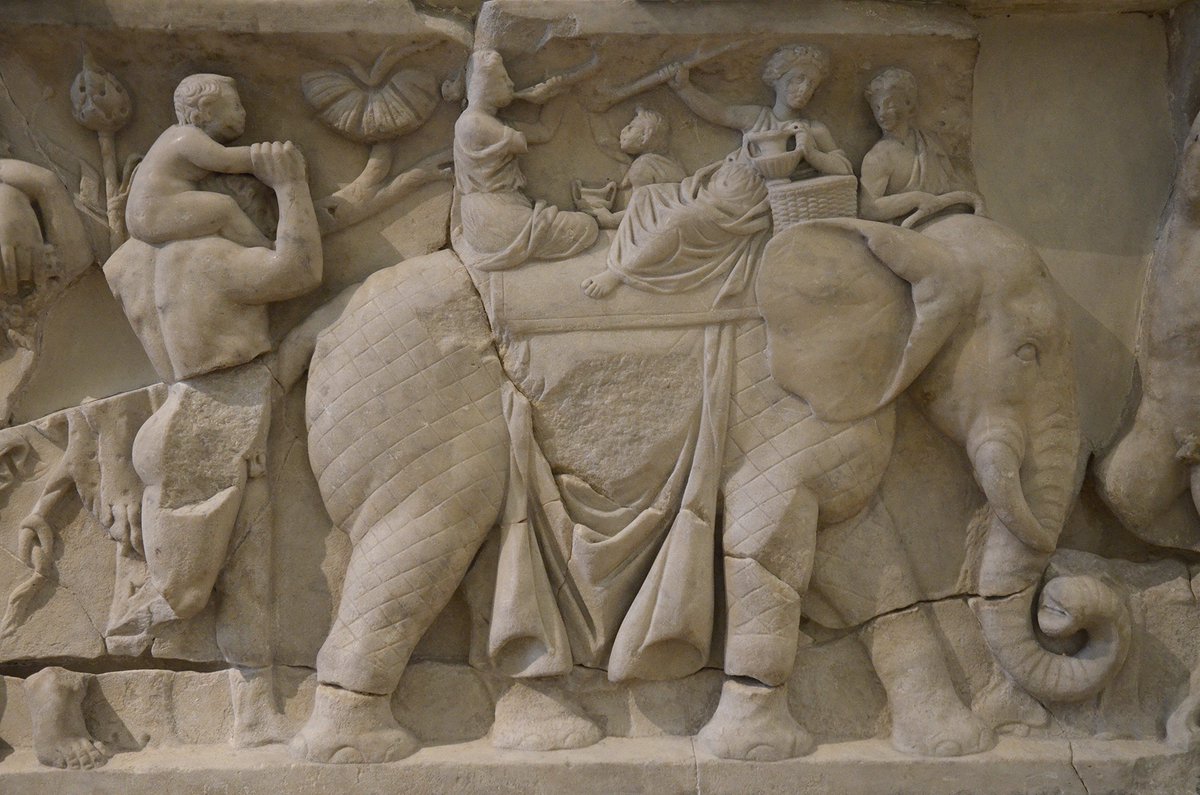 Following Hadrian tweet media