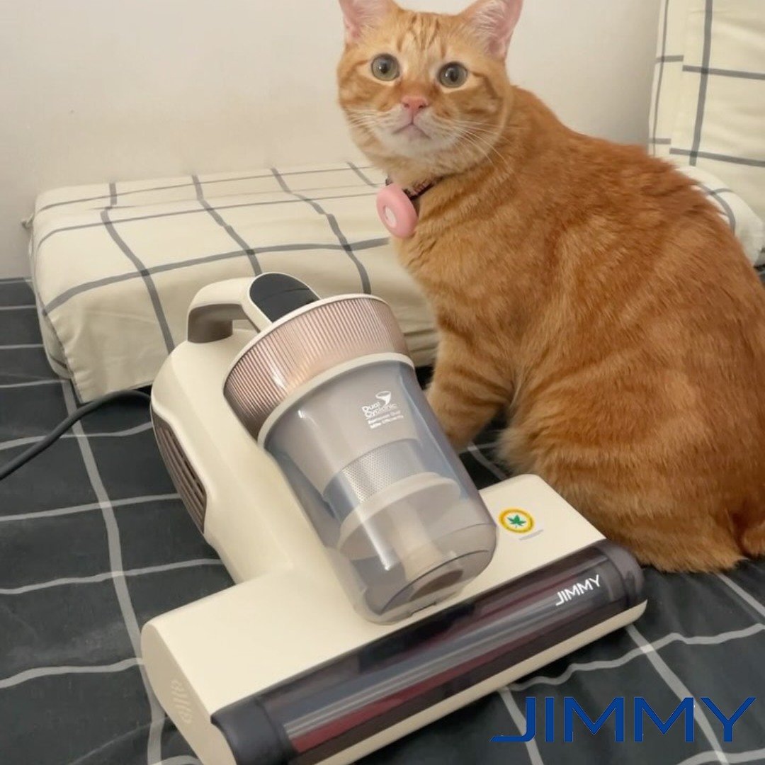 JimmyTech_EU's tweet photo. Even your fur baby will love the fresh air after a deep clean! 🐾💨

#Jimmy #Jimmyeu #JimmyBX6Lite #SmartVacuum #DeepClean #CleanLiving #DustFreeHome #PetFriendly #HomeCare #InnovativeCleaning https://t.co/rrR9HiRTvf