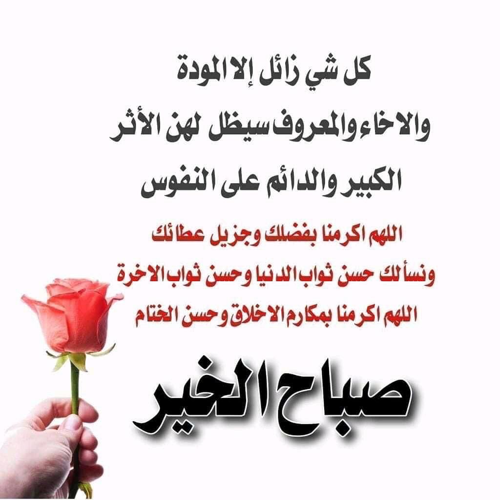 zeyad (@tt_zi_a) on Twitter photo 