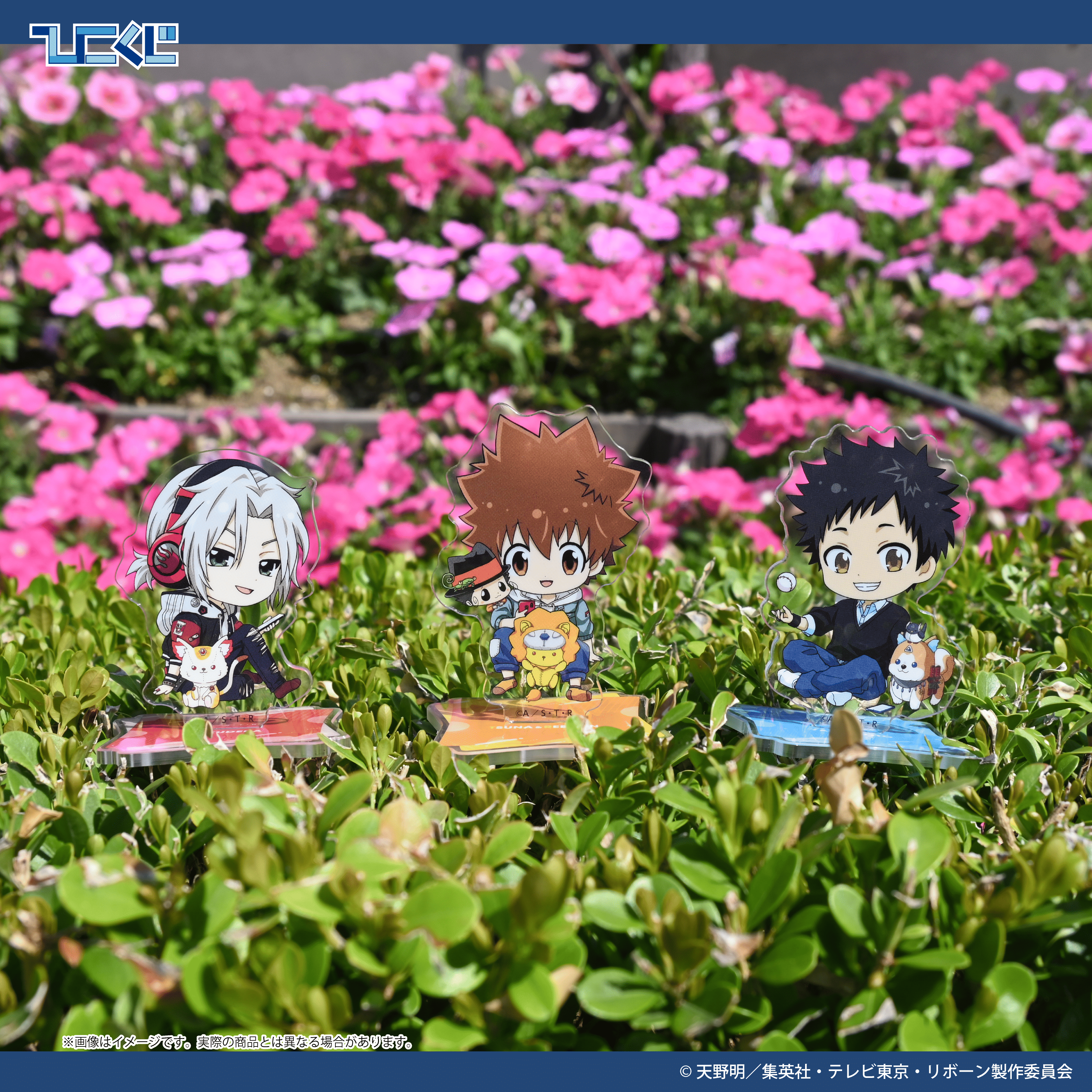 家庭教師ヒットマンREBORN! Chill out　ひこくじ＋おまけ付き ひこくじ『家庭教師ヒットマンREBORN! Chill out』8月30日(土
