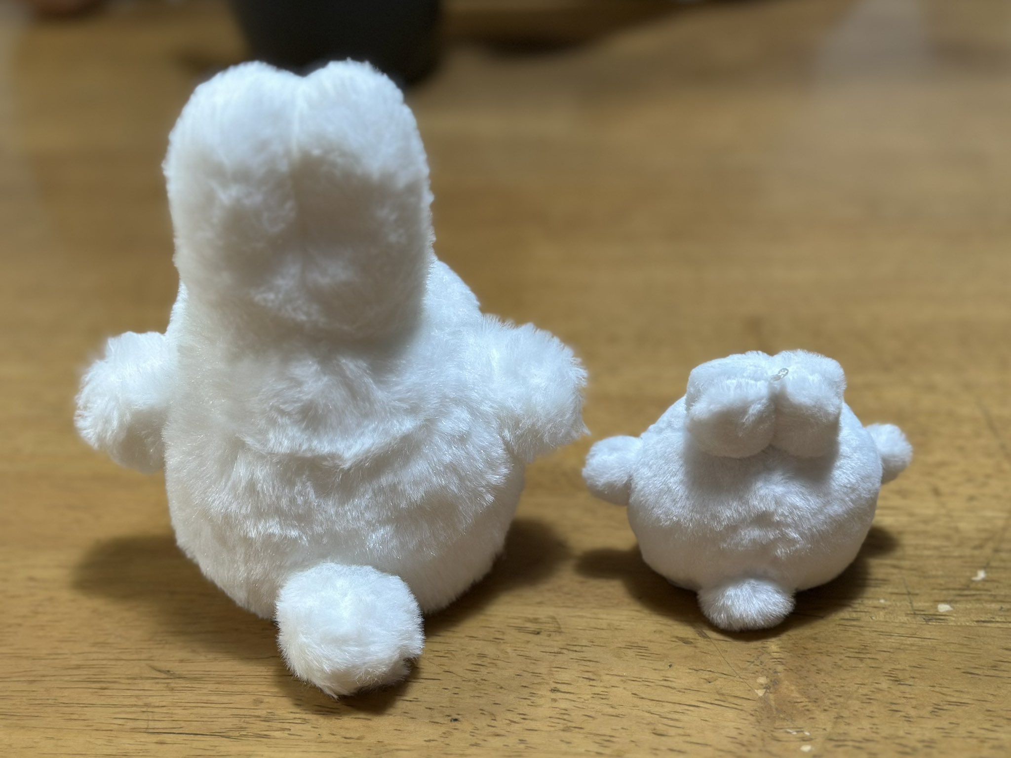 うっさー - Search / X