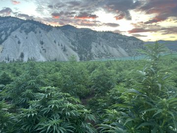 You can go from zero to hero in a few months within web3. 
                                                                                                                                                                                         
And it's not trading meme coins.