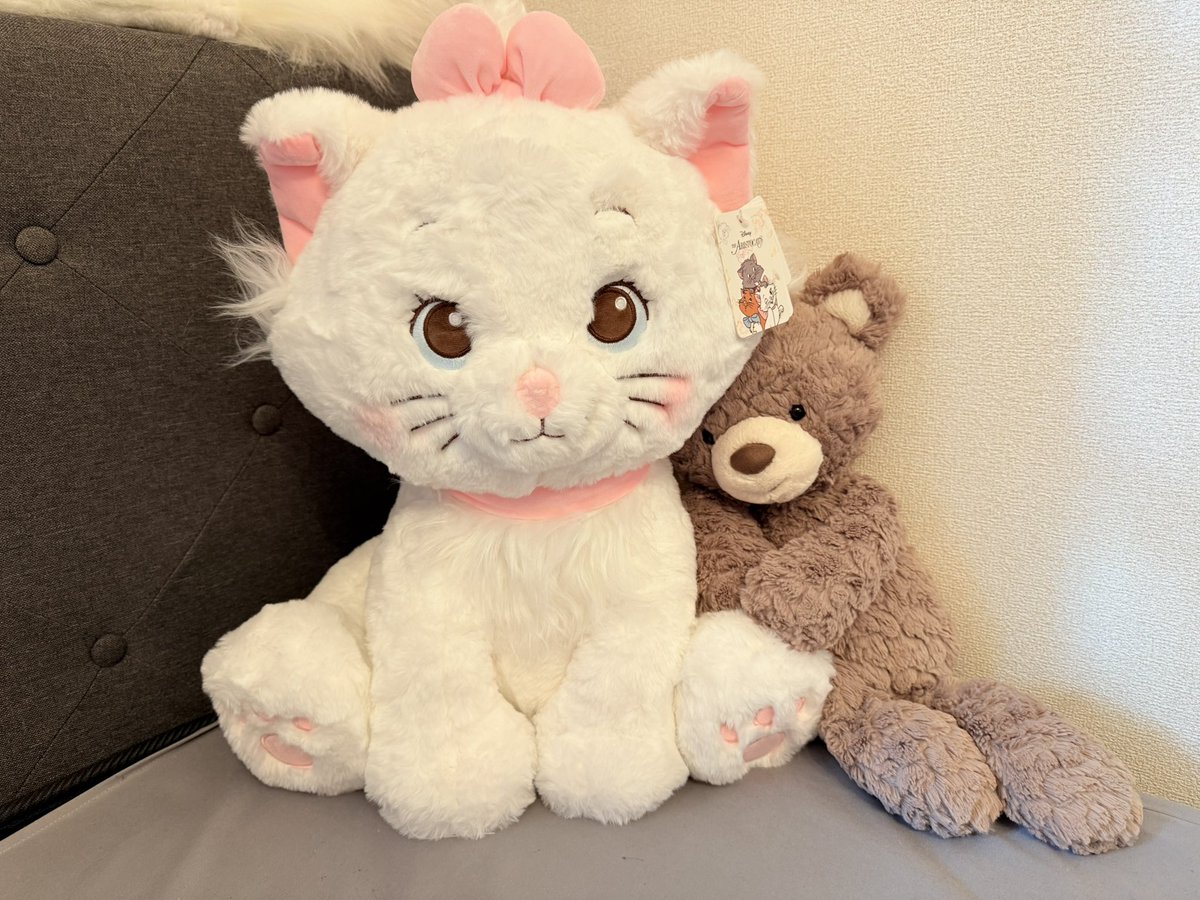 おしゃれキャット コストコ ブランケット入り 50cm ぬいぐるみ 3体