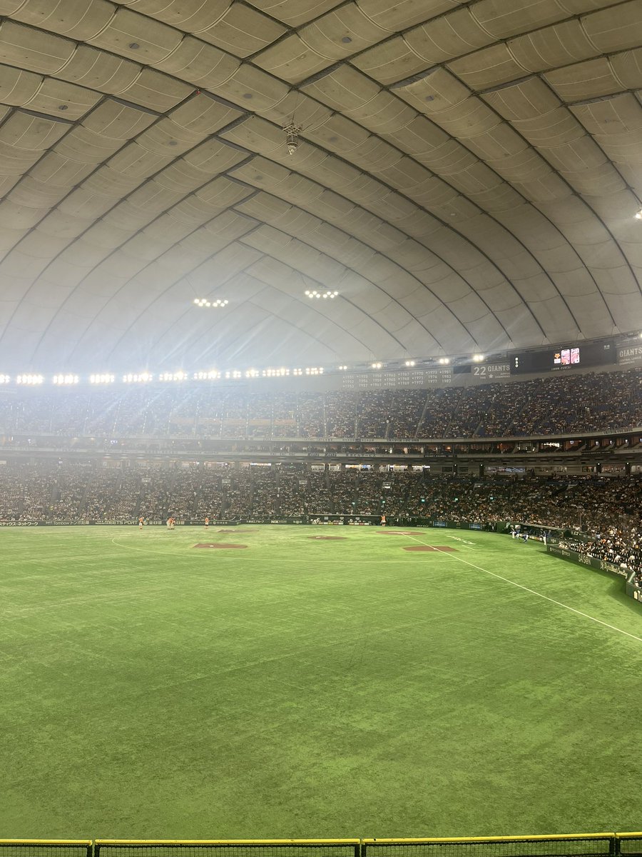 交竜、しないことにしました。

交竜しようしようと言っといて、まだ1回もしたことがないのですが、

いつも直前になって謎の恐怖心に包まれて
会うに至れないので、もう、完全に止めることにします。

お話したいと言ってくださる方、野球の話ならDMやスペースやった時によろしくお願い致します!