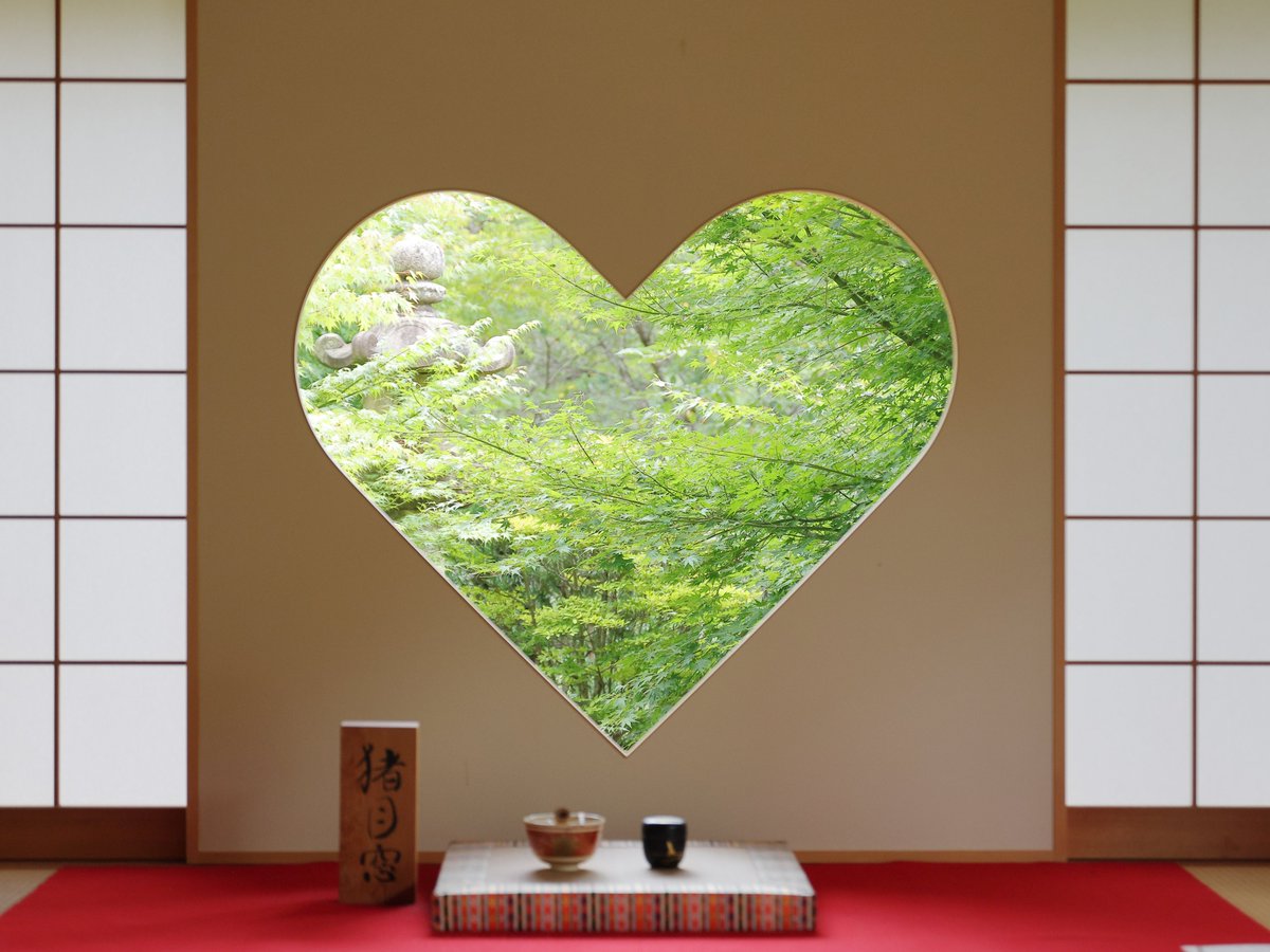 #お疲れ様でした　いま新宮の花火大会見にきているはずなので予約投稿です。地理感がなくてうまく見れる場所が見つかるか怪しいのですが頑張ってみます。 良い夕べを。 #TLを花でいっぱいにしよう #flowerphotography