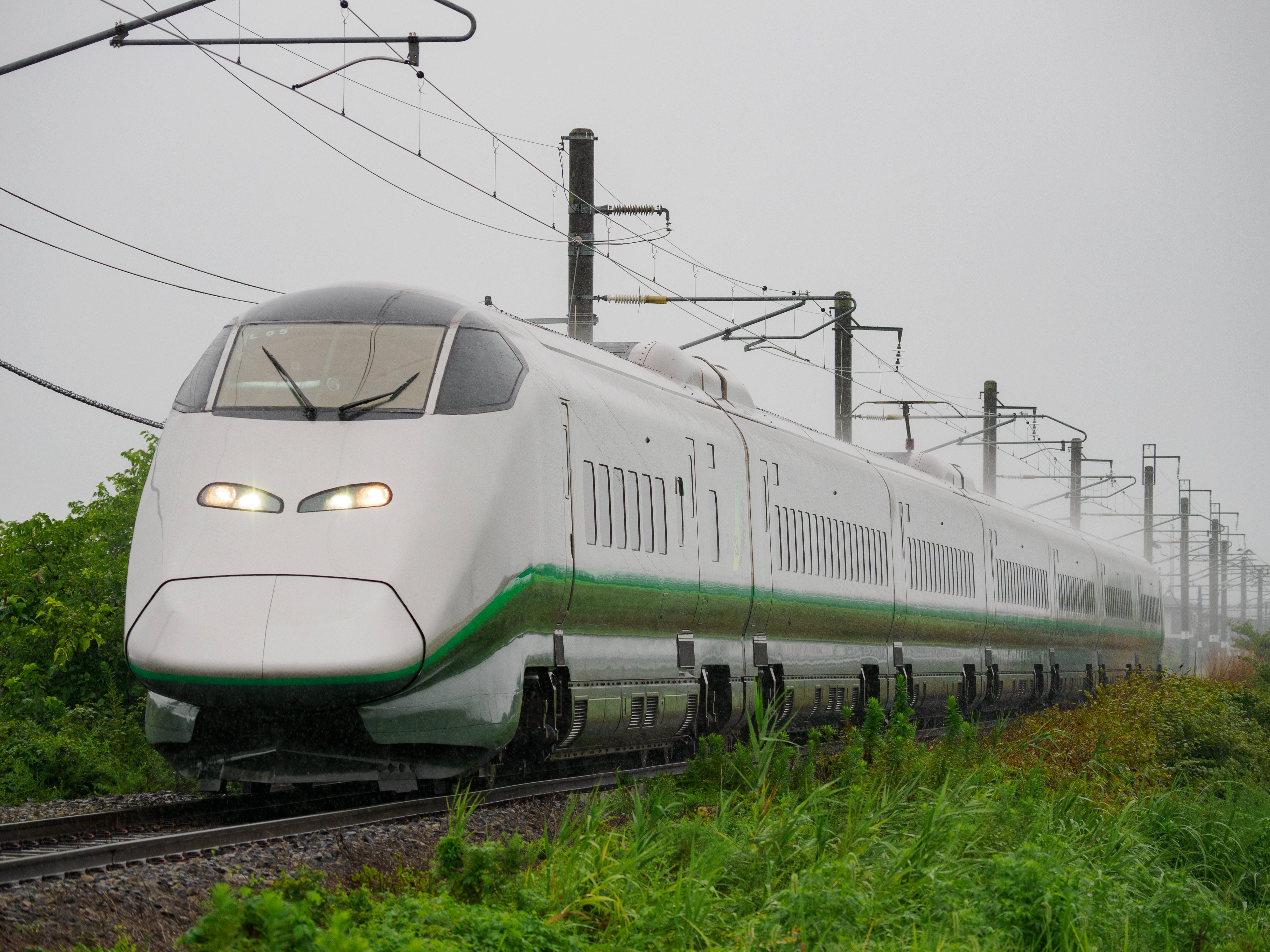 やまはつ　AUScot 新苗　5/30　ER TAKEDA on X: 