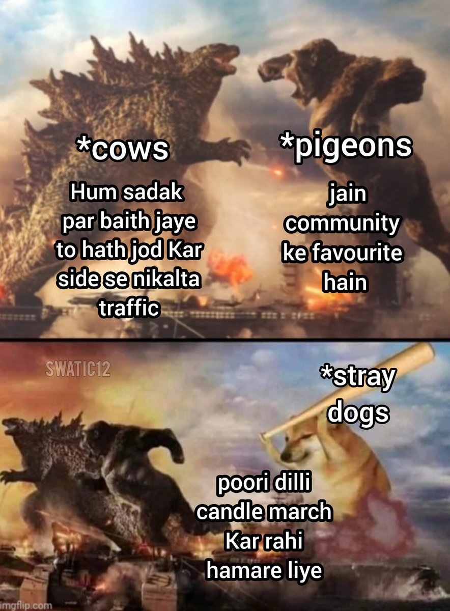 swatic12's tweet photo. jalwa hai dogesh bhai ka #straydogs https://t.co/QtnKm74PCn