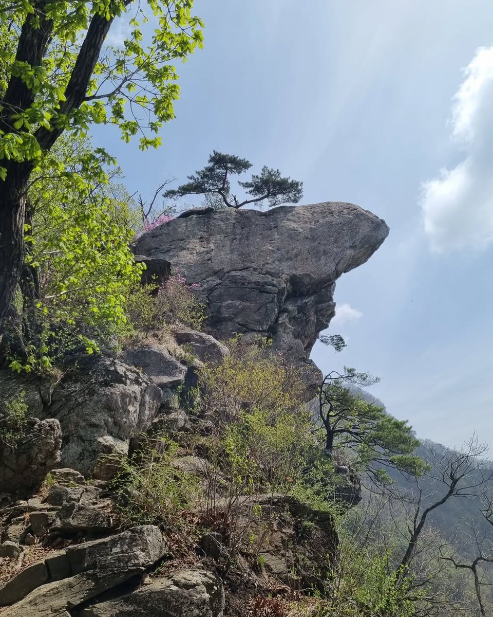 Matvee's tweet image. #登山初心者 #山登り #登山技術 #アウトドア #登山の基本