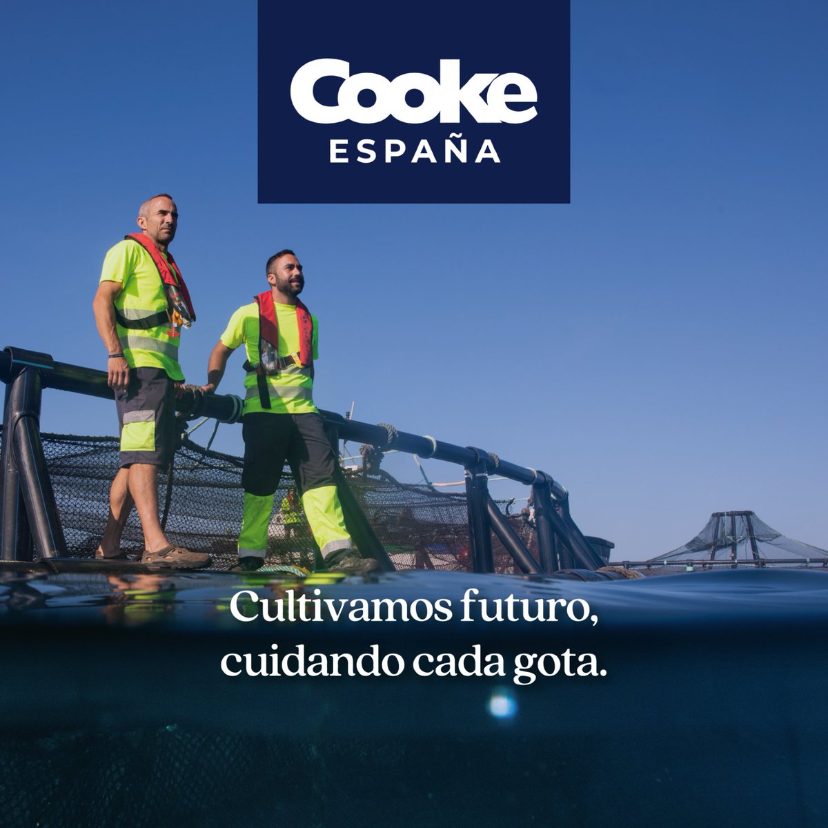 💧 La acuicultura usa entre 0,3 y 2,2 m³ de agua dulce por kilo de pescado, mucho menos que otras producciones animales.
🌱 Una elección sostenible que cuida el planeta gota a gota.
📖 Fuente:(FEAP)
#COOKEEspaña