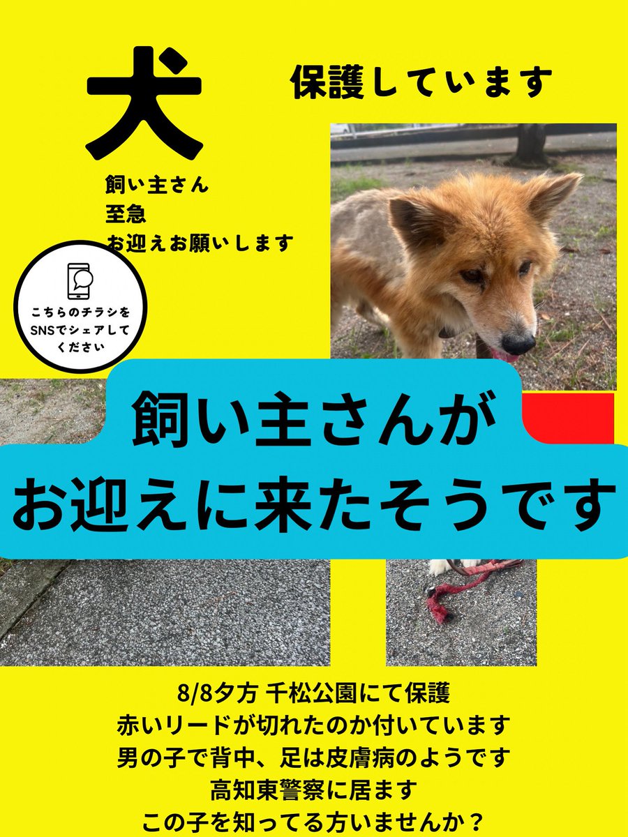 ご協力ありがとうございました❣️