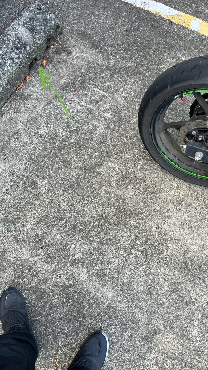 supportmainuwu's tweet photo. you would not believe where i dropped my earplug today by accident https://t.co/VZ9Lqf6OQX
