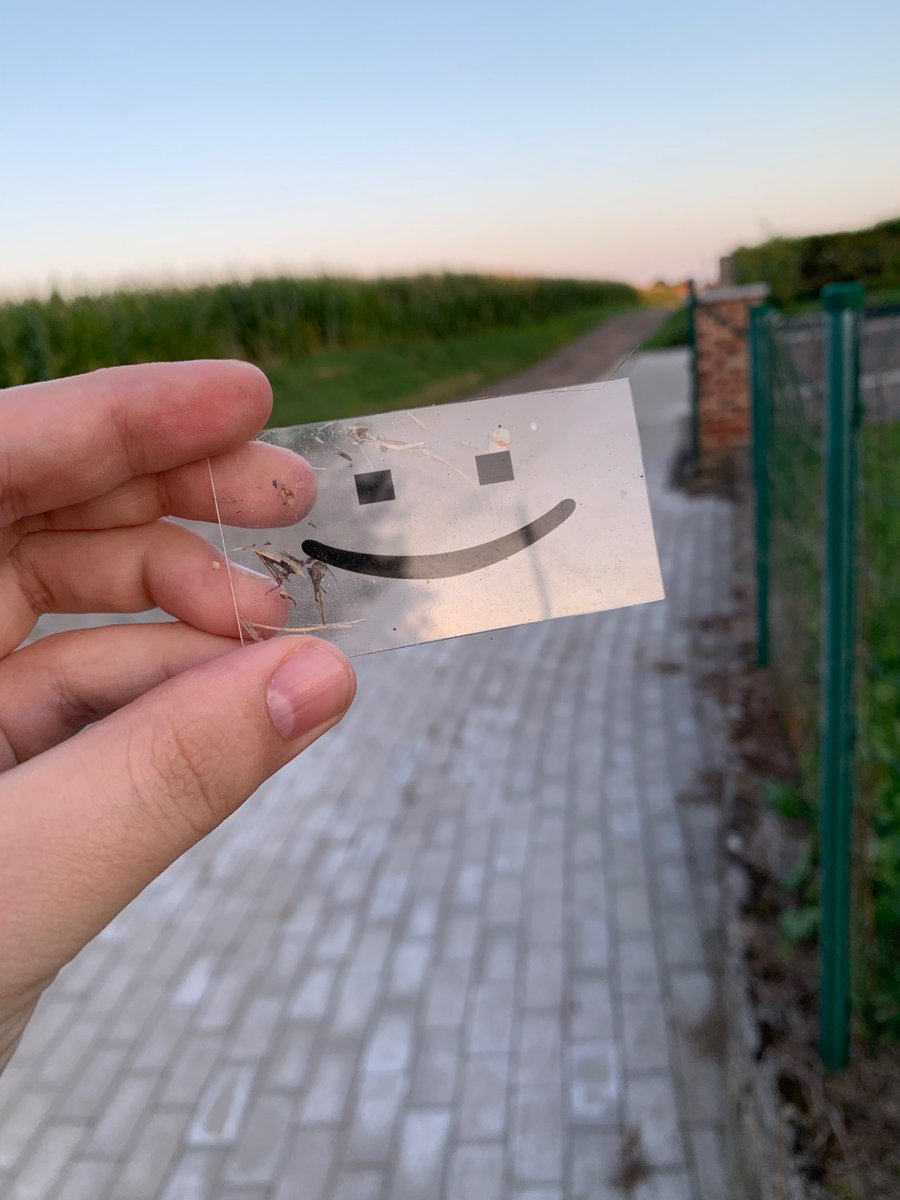 the p in poro is for positive🎈 (@spaciejesus2000) on Twitter photo 