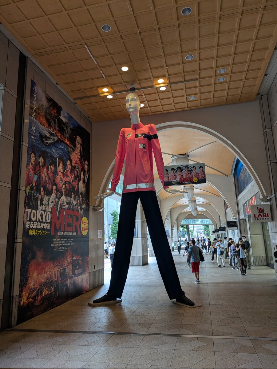 飛行機に乗ってはるばるやってきました(´ω`)