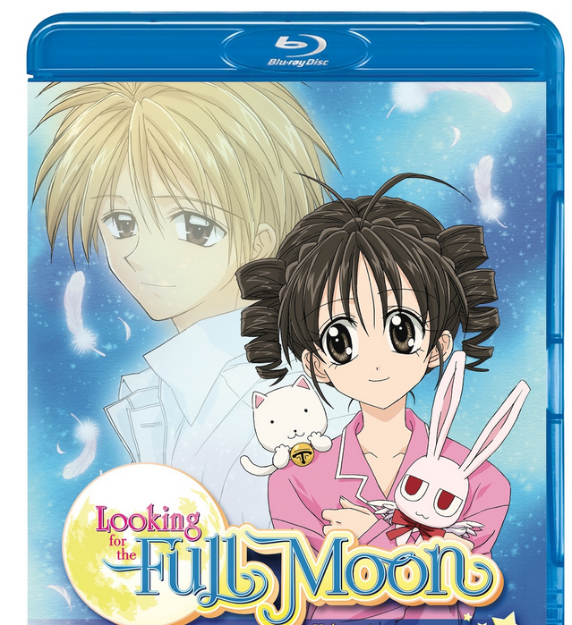 They made a Full Moon anime?