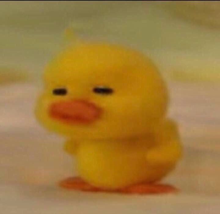 하지만 귀엽죠?