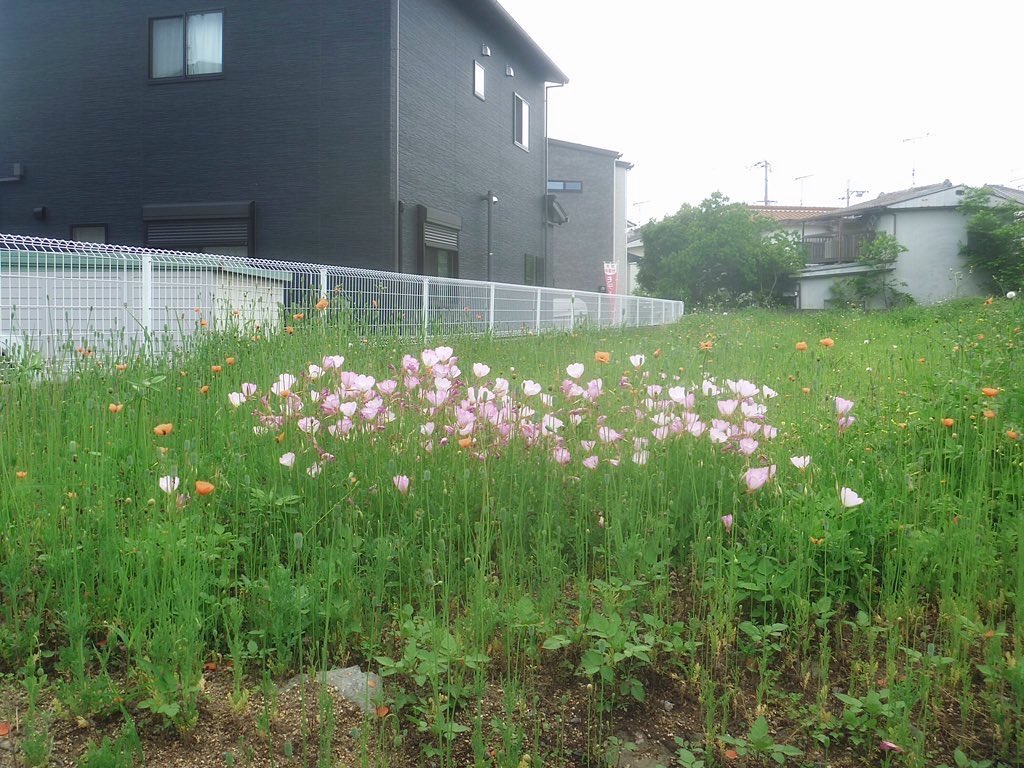 調子 (@nbfaqldnuvdcd0o) on Twitter photo 