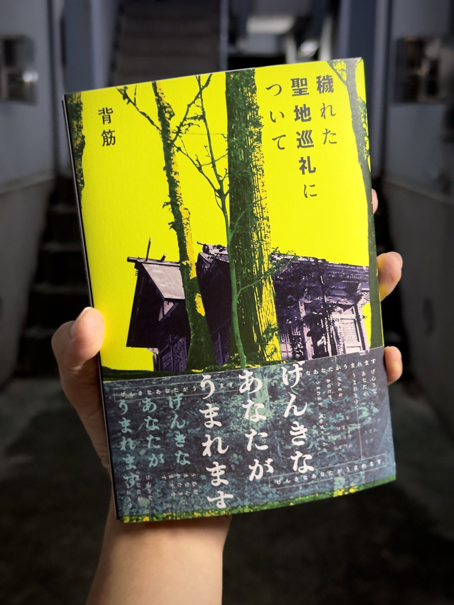 裁断済 廃墟、その光と影 toshibo｜廃墟と写真｜書籍『ゲーム旅』 on X: 