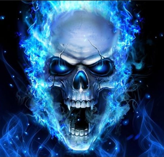 Skeletons posting (@skeletonposts) on Twitter photo  Skeletons posting (@skeletonposts) on Twitter photo