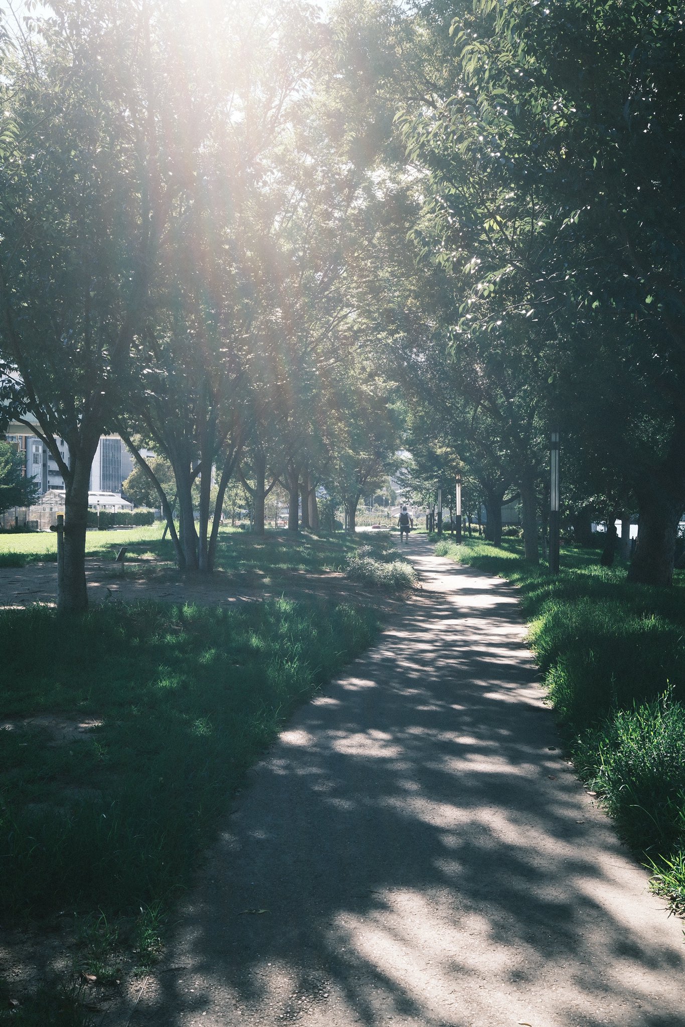 MMページ⭐︎風景　写真 SuNny side_tatsuya.k on X: 