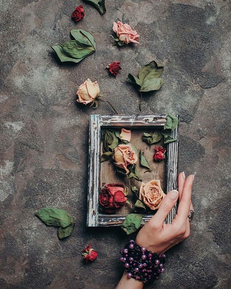 Come gentilezza nello strappo che ascolta, 
di eco risuona

l'anima dal niente risuola passi slogati, 
 
un luogo 
nella mente si affina, proietta, 
adorna l'insieme 
nel frammento severo 
_
#passibrevi