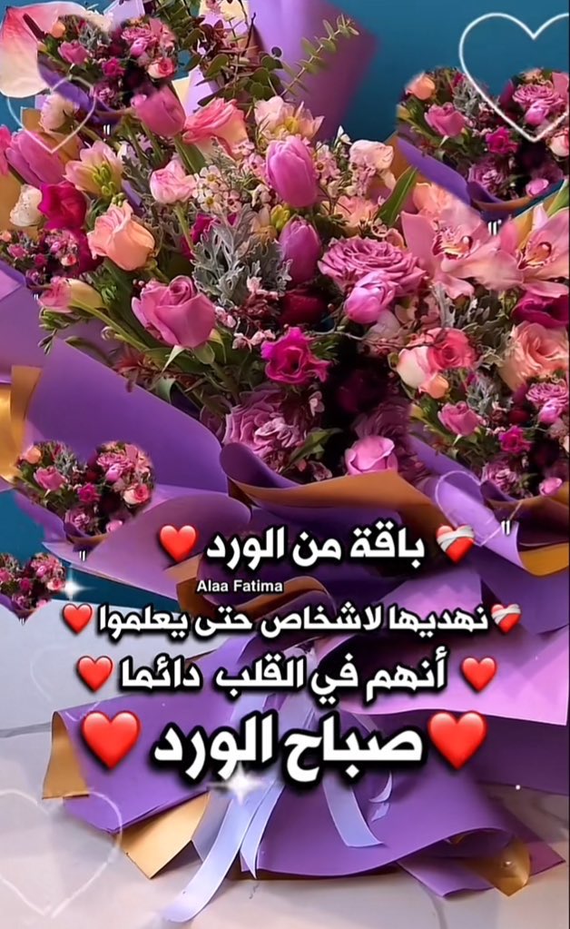 ••

مهما كان الصباح جميلاً

فأنتم كقطرات الندى على

    الورد تزيدها جمالاً

#صباحكم_عطر_الورد 🌸

••
