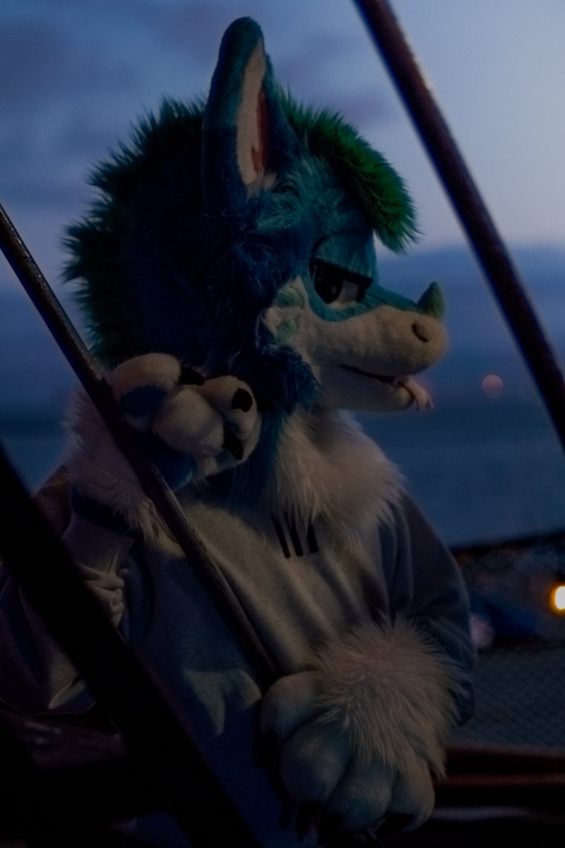 Here is some top ones from this last year/summer. It's been so awesome to mess around with photos and edits of furry friends.