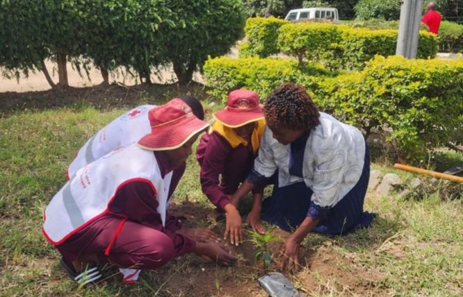 ZrcsRed's tweet image. Today, we celebrate young people as leaders, innovators &amp;amp; changemakers.
With the theme "Local Youth Actions for the SDGs &amp;amp; Beyond,"  our youth marked the day by planting trees — a pledge to a greener, climate-smart future
#InternationalYouthDay