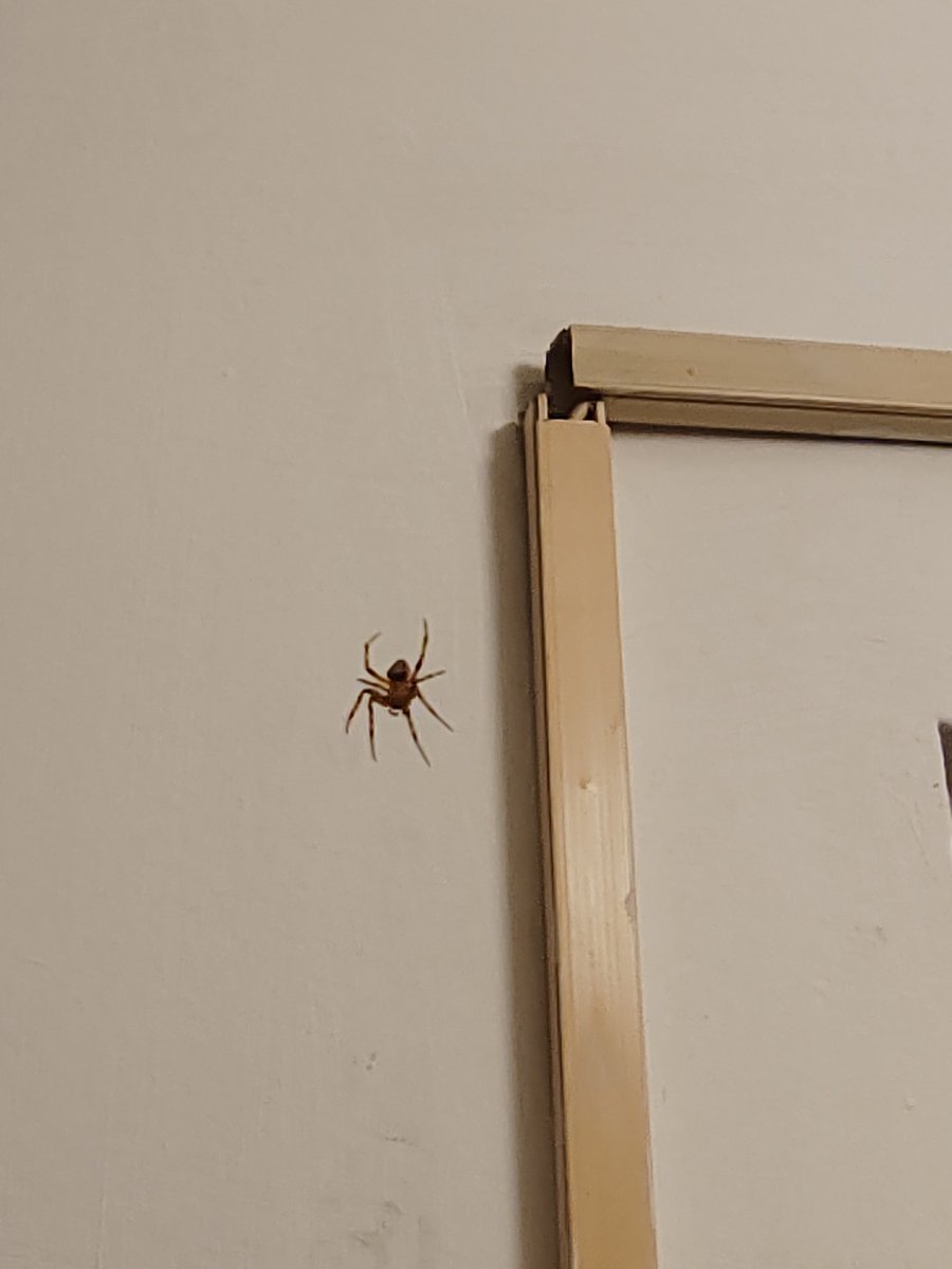 Janet Mérida tweet media