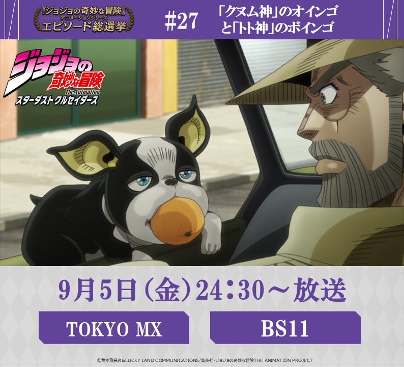 ◆━━━━━━━━━◆
　   毎週金曜 24:30～
#JOJOエピソード総選挙
　 セレクション放送
◆━━━━━━━━━◆
 
明日！9/5 (金) 24:30～
【TOKYO MX】【 BS11】にて

『ジョジョの奇妙な冒険 スターダストクルセイダース』
投票数、第７位
《 #27
