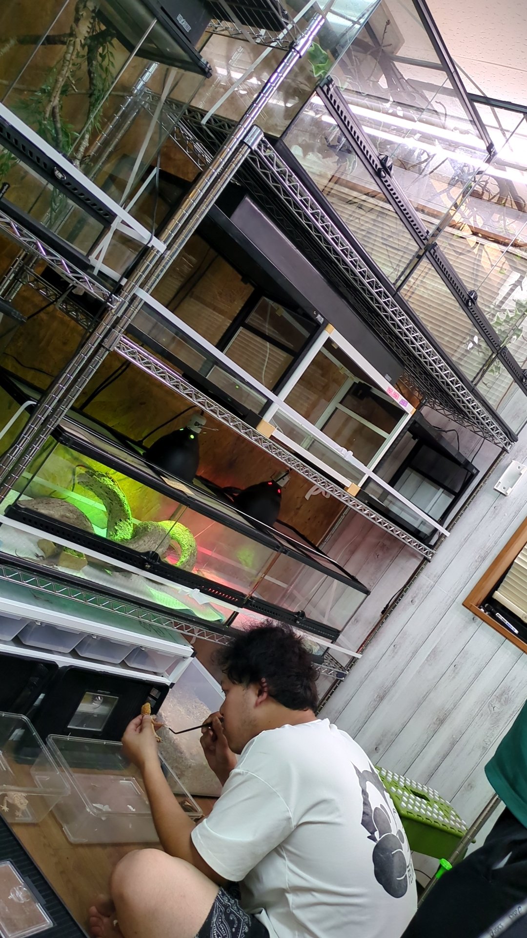 ももれおん😺 on X: 