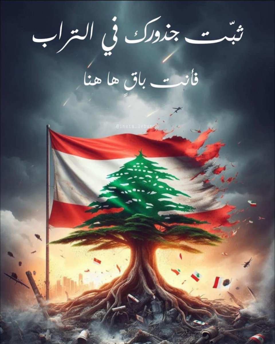 HiamFree's tweet photo. Et si le régime iranien s’occupait de ses propres affaires au lieu d’intervenir dans la politique intérieure du Liban 🇱🇧 !
Le Liban n’est plus une jungle.
Passez donc votre chemin. 
#le_liban_est_eternel ❤️🇱🇧❤️
#ما_بصح_الا_الصحيح
#نجرؤ_ليبقى_لبنان https://t.co/CkfHV6aceP