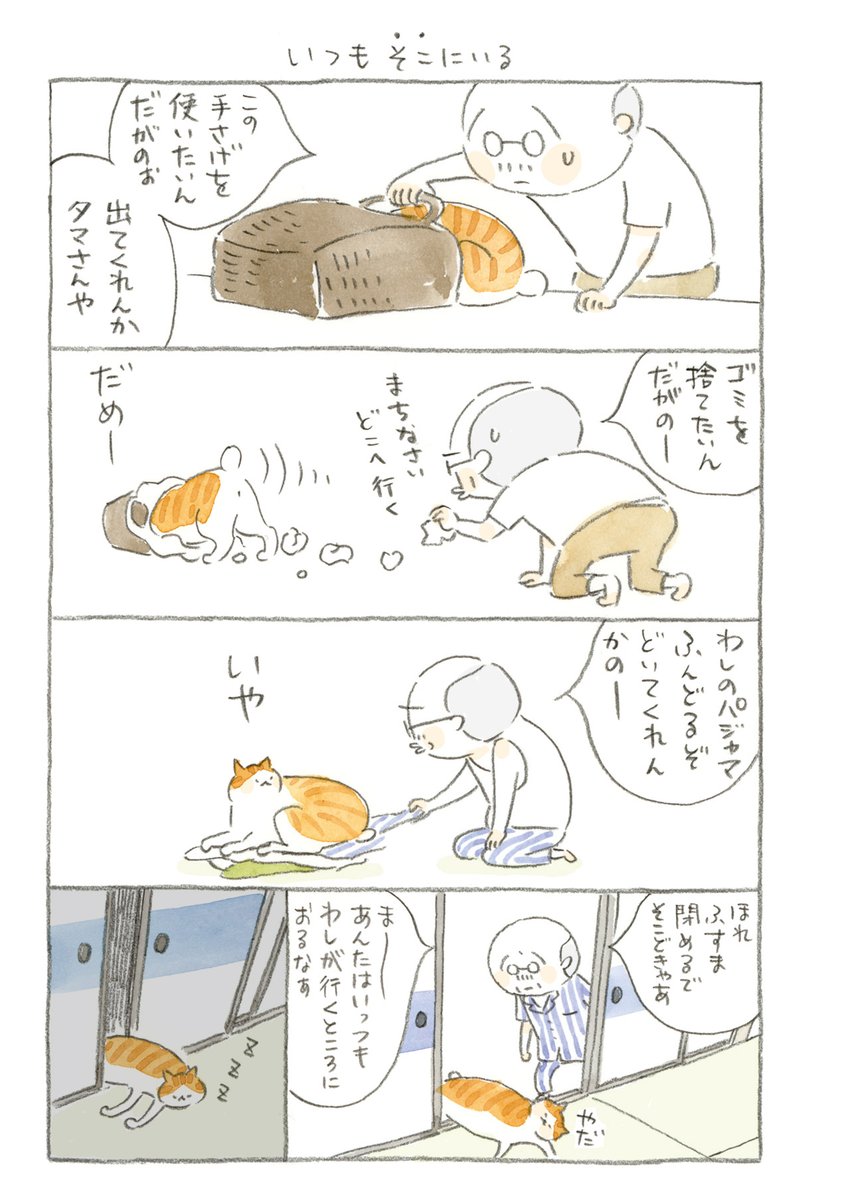 @nyanta_mikan @nekomaki_danna #猫のいる幸せ (8/11) 