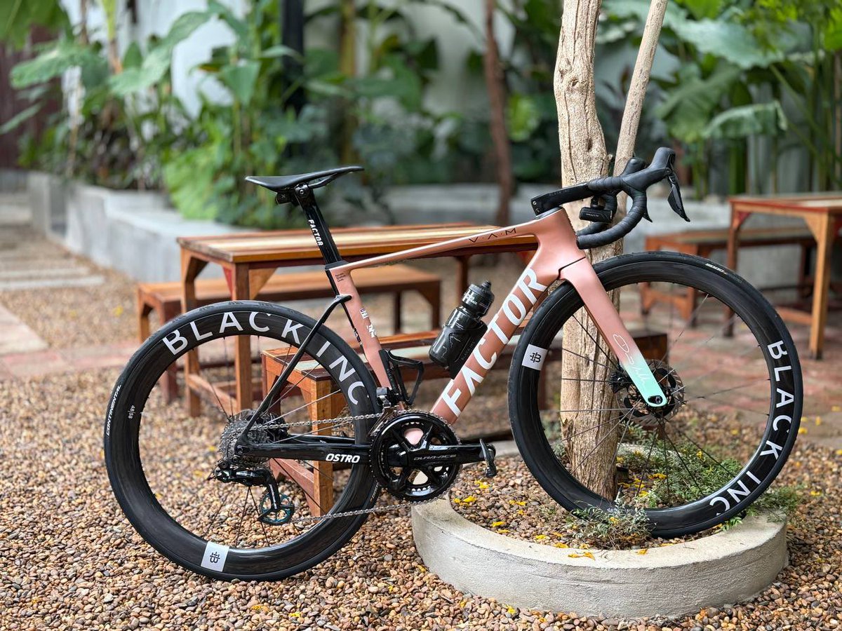 Dr. KONG tweet media