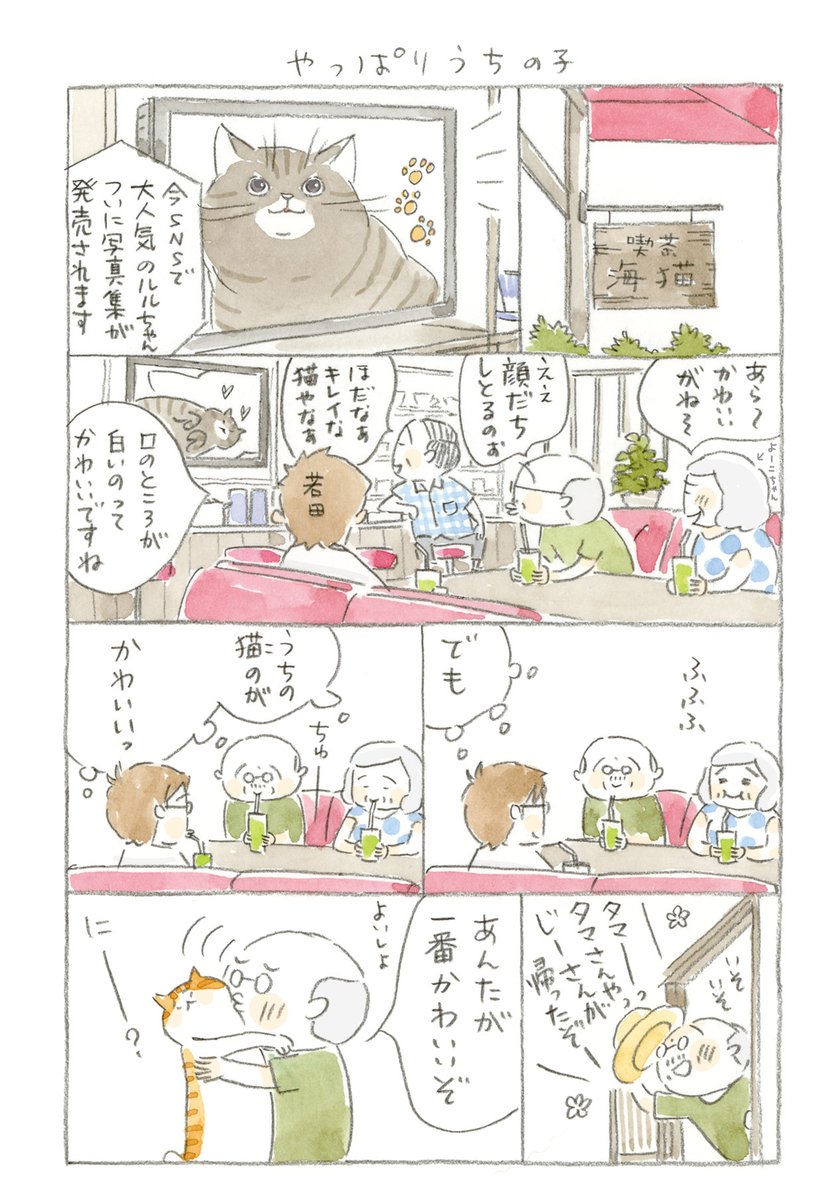 @nyanta_mikan @nekomaki_danna #猫のいる幸せ (9/11) 