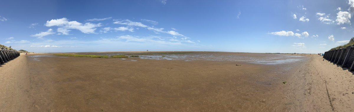 Paul Paviour tweet media