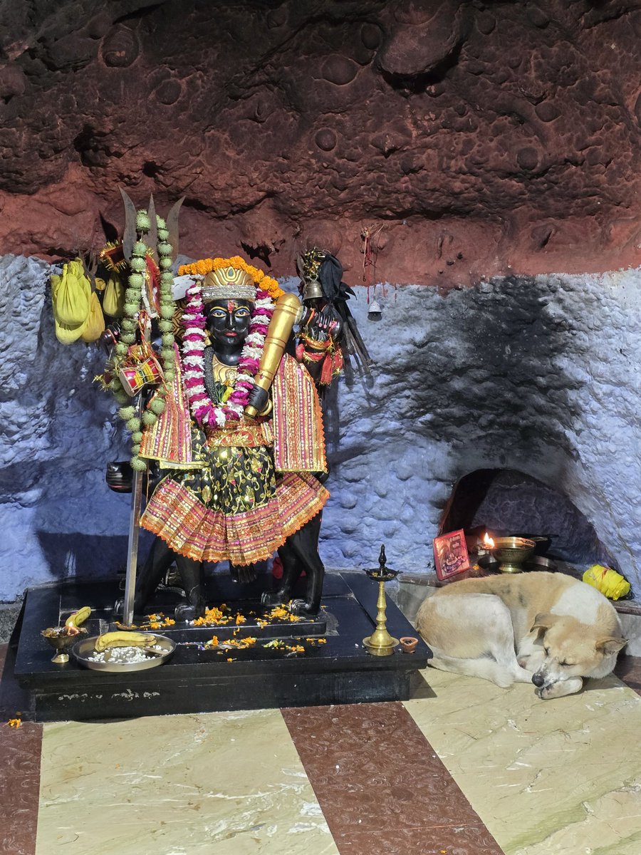 Manoosing's tweet photo. Passing such an arbitrary order before Shraddh Parv, when we take out roti for our dogs, is an insult to Hindu Dharma.
This is the land of Lord Pashupatinath( lord of all animals), where Yudhishthir refused Swarglok (heaven) without his dog, where Namdev saw Lord Vithal in the service of a dog, the land of Lord Bhairav.
Karma is watching.#straydogs #AnimalRights #SupremeCourtofIndia #dogs  #HinduDharma #SaveStrayDogs #ABC #Compassion #JusticeForDogs