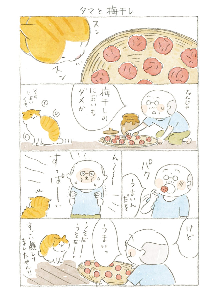 @nyanta_mikan @nekomaki_danna #猫のいる幸せ (4/11) 