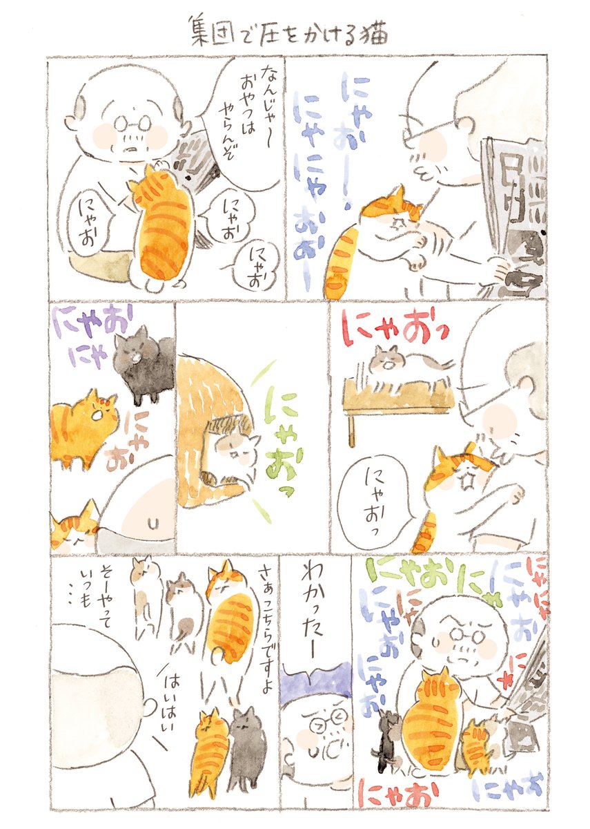 @nyanta_mikan @nekomaki_danna #猫のいる幸せ (6/11) 