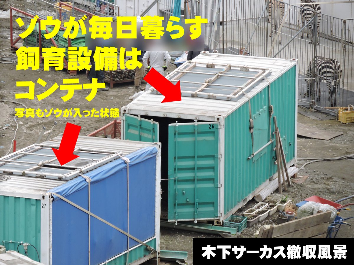 animalsPEACEnet's tweet photo. #世界ゾウの日 今日も日本のサーカスで、ラオスから借りてきたアジアゾウたちがショーをさせられ、搾取されている。もっと違う方法がたくさんあるのに、これがアジアゾウ保全に繋がるなどというのは詭弁です。
日本で最も劣悪な環境で飼われるゾウたちのために、声を挙げてください👉@circuskinoshita https://t.co/SfAsj1LRIO