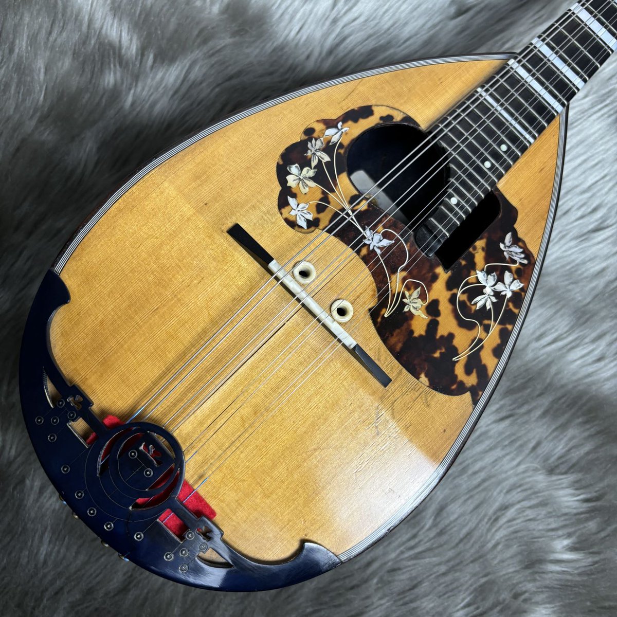 shima_kinshicho's tweet image. 🎐クリアランスセール🎐
イタリアの王道 #Calace のヴィンテージ個体をクリアランス価格にてご案内しております🤩
音色の良さはもちろん、芸術品のような装飾が美しい個体です✨

詳細はコチラ👇
store.shimamura.co.jp/ec/pro/disp/1/…
#島村楽器 #錦糸町 #マンドリン #カラーチェ