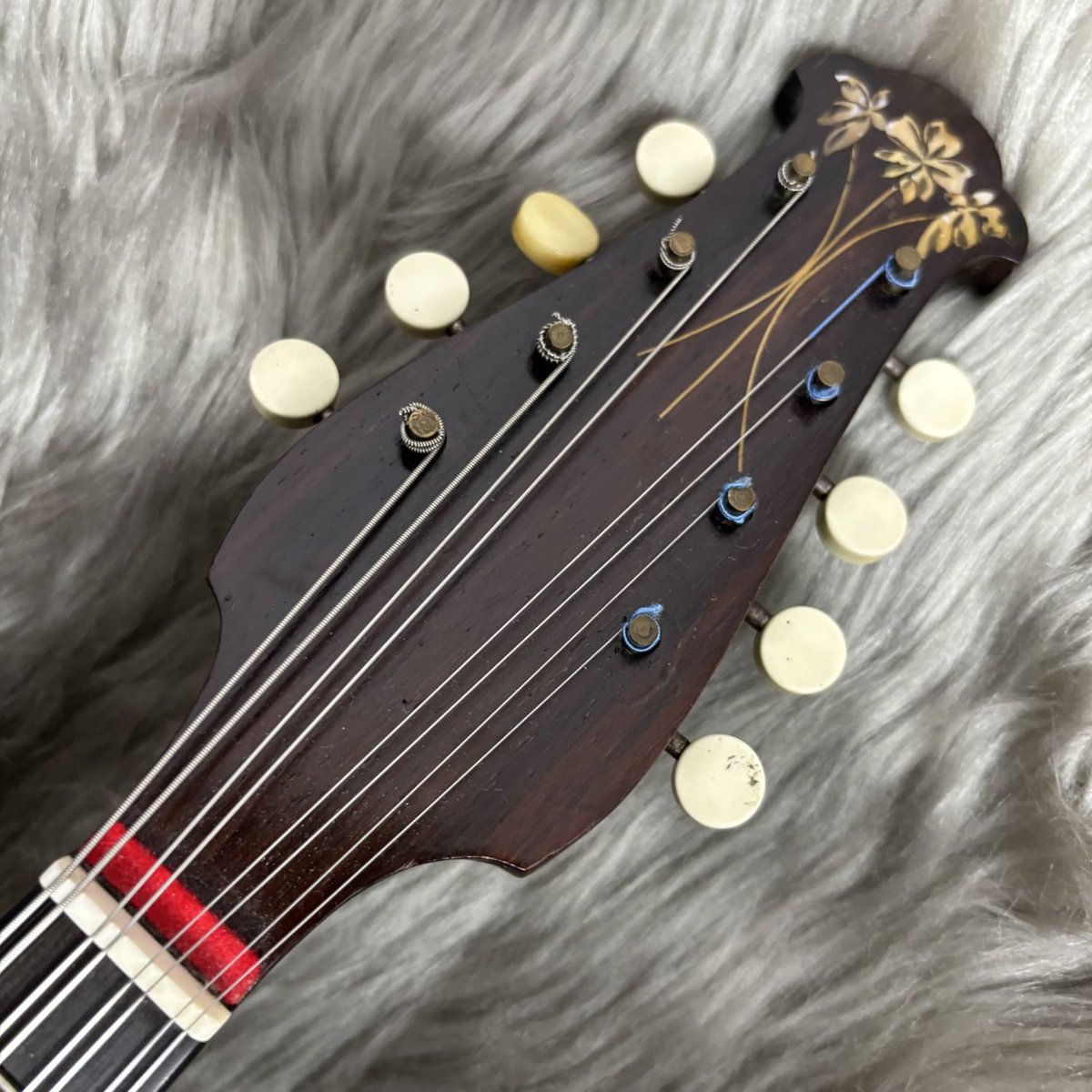 shima_kinshicho's tweet image. 🎐クリアランスセール🎐
イタリアの王道 #Calace のヴィンテージ個体をクリアランス価格にてご案内しております🤩
音色の良さはもちろん、芸術品のような装飾が美しい個体です✨

詳細はコチラ👇
store.shimamura.co.jp/ec/pro/disp/1/…
#島村楽器 #錦糸町 #マンドリン #カラーチェ