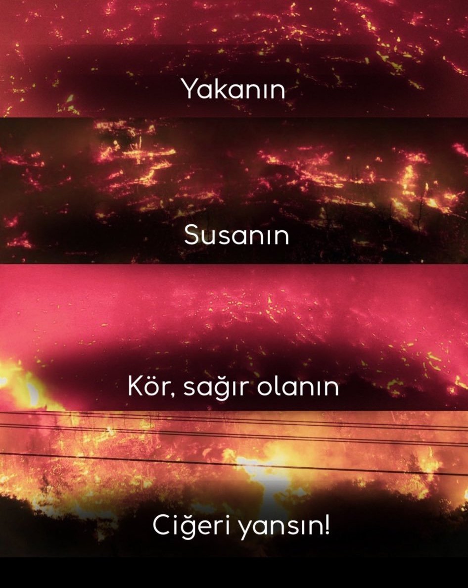 Yakanın, susanın, kör sağır olanın ciğeri yansın!

#ÇanakkaleYanıyor