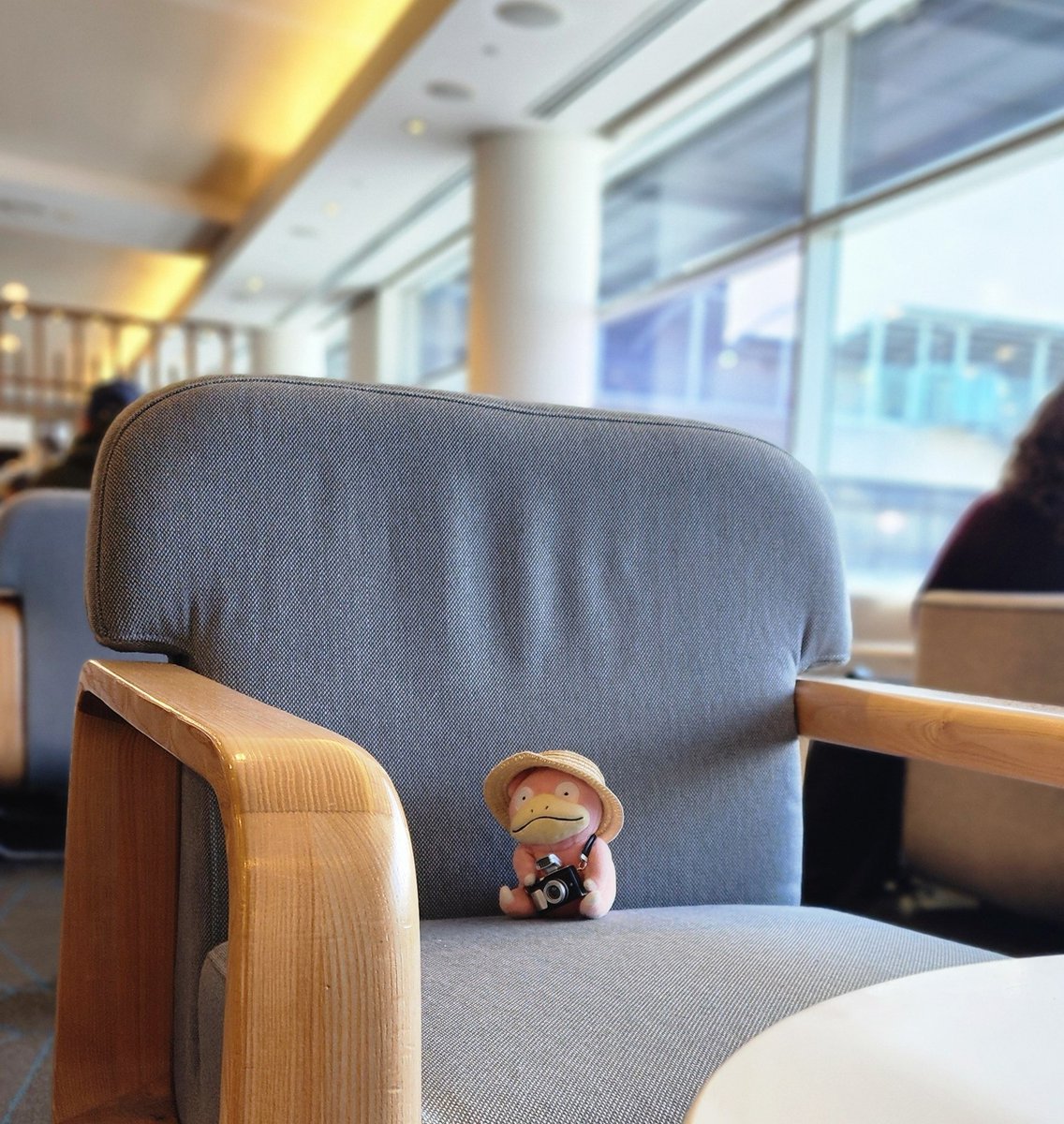 Kelosaurus tweet media