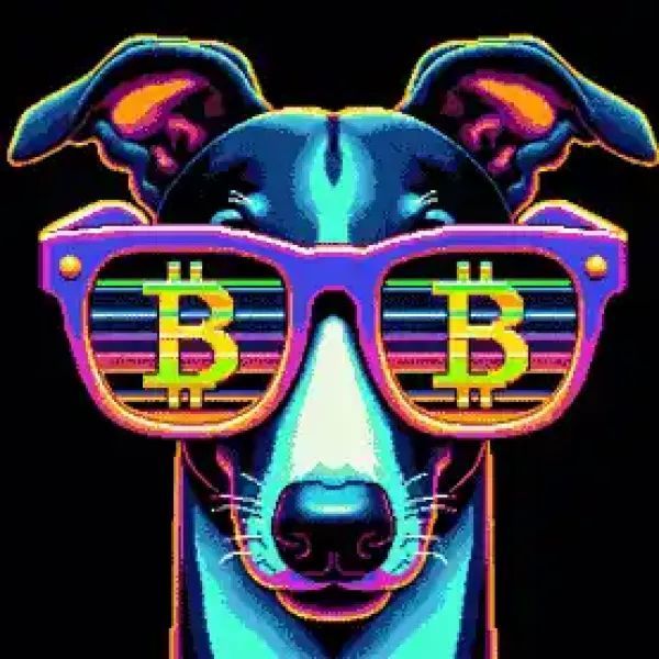 BitShades Dogs :: Celebrating Man's Best Friend tweet media