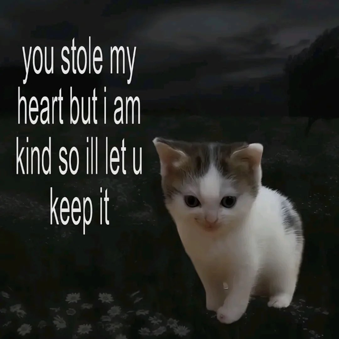 Miaw (@miaw) on Twitter photo 