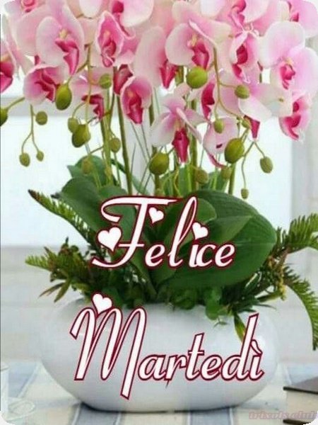 Marianna tweet media